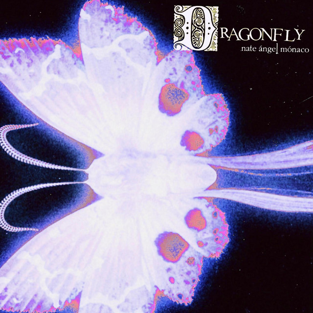 dragonfly cover art