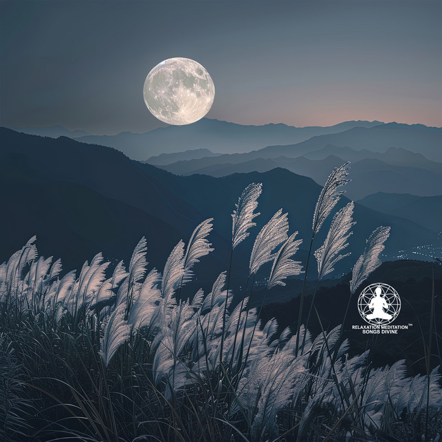 Weightless - song and lyrics by Relaxation Meditation Songs Divine ...