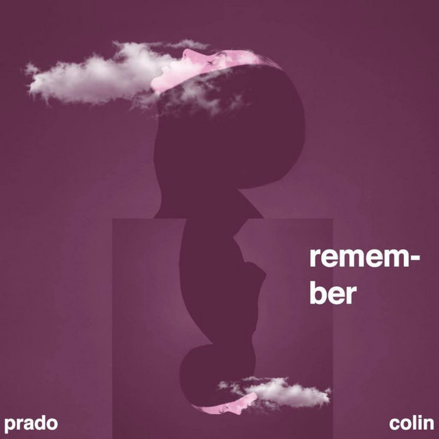 Remember cover art
