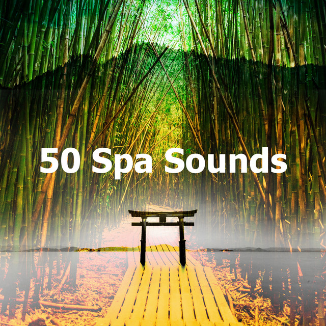 50 Spa Sounds - Album by Spa Zen | Spotify