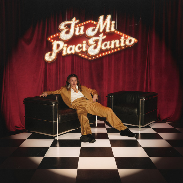 TU MI PIACI TANTO cover art