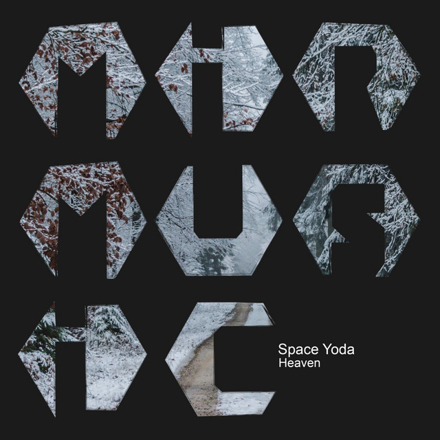 Обкладинка Space Yoda — Heaven