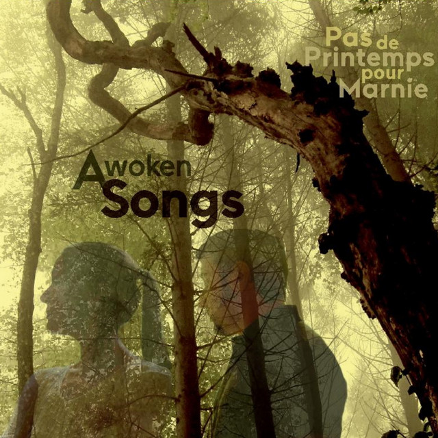Awoken songs cover art