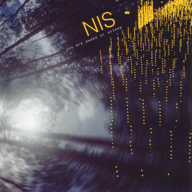 You Are Awake Or Asleep cover art