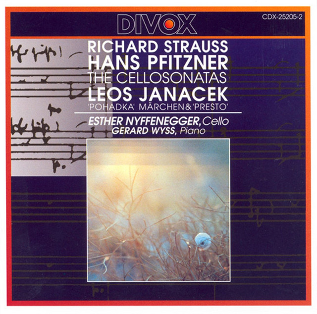 Pohadka (Fairy-tale), JW VII/5: III. Allegro