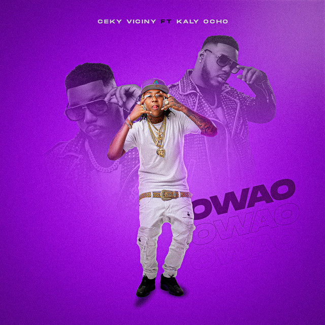 Owao album image