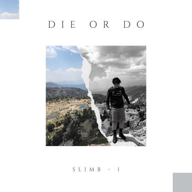 DIE OR DO cover art