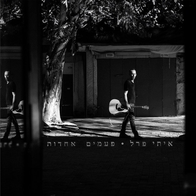 פעמים אחדות cover art