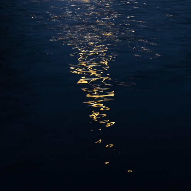shallows cover art