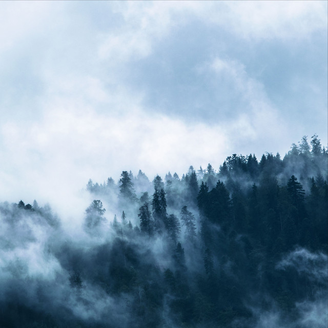 Meditation and Relaxation Songs for Sleep cover art