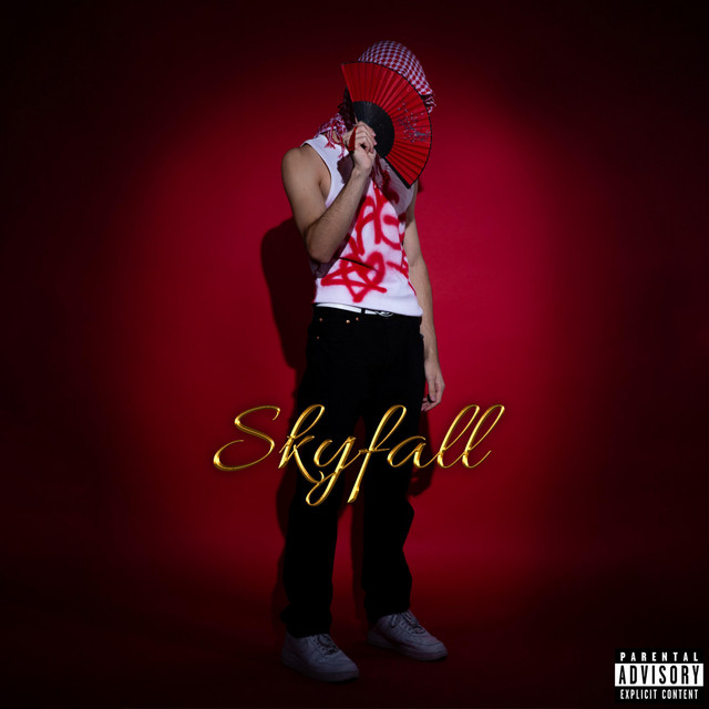 Skyfall cover art