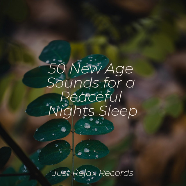 50 New Age Sounds for a Peaceful Nights Sleep - Album by Reiki Music ...