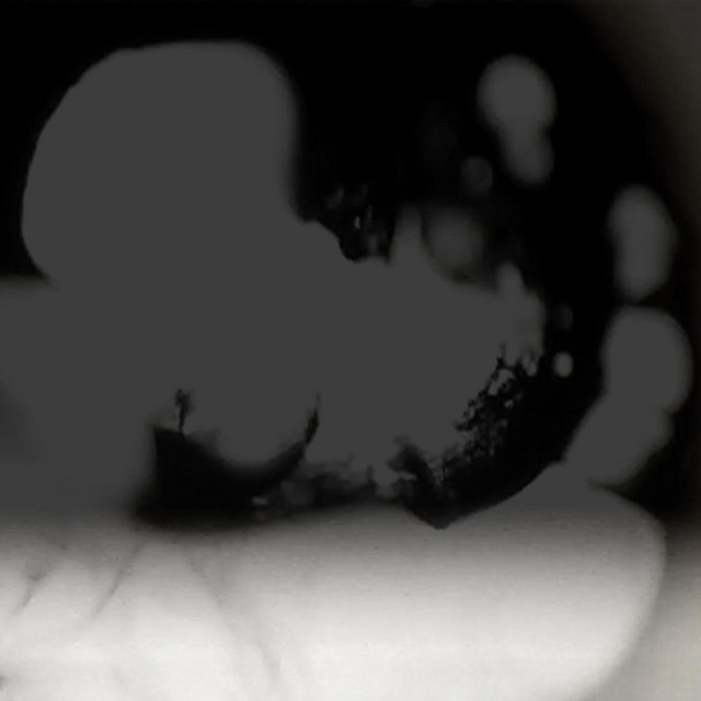 Apophenia cover art