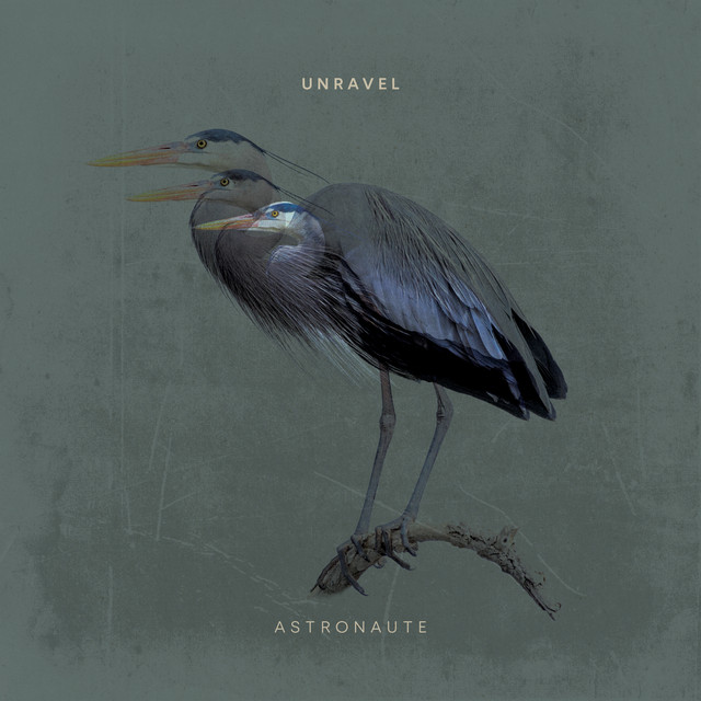 Unravel cover