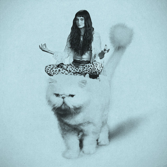 undefined album image