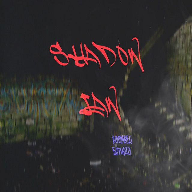 shadow law