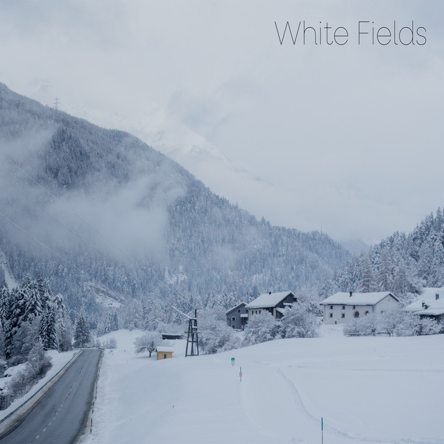 White Fields album image