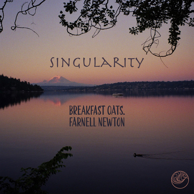 Singularity cover