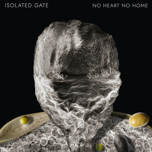 No Heart No Home cover