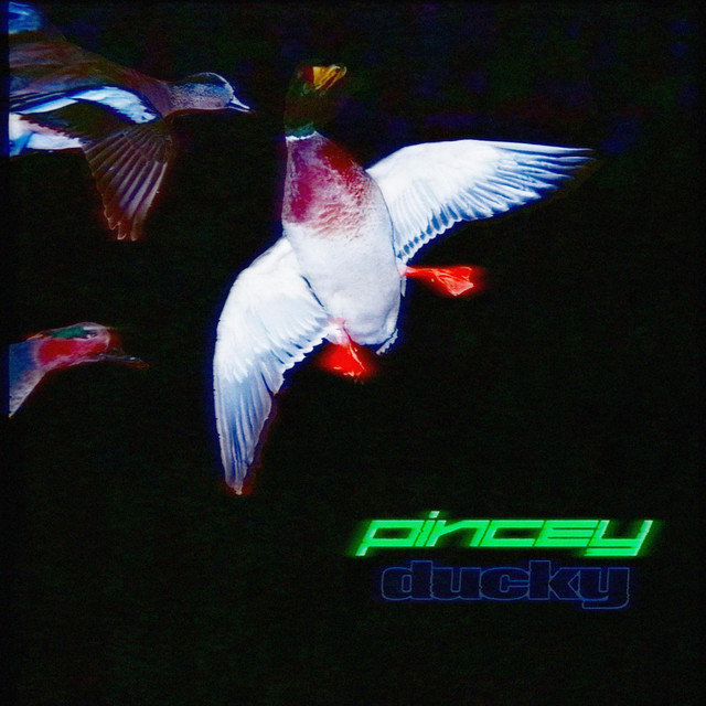 DUCKY cover art