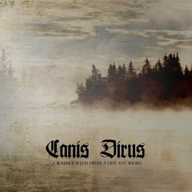 A Somber Wind from a Distant Shore cover