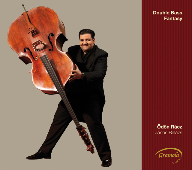 Double Bass Fantasy cover art