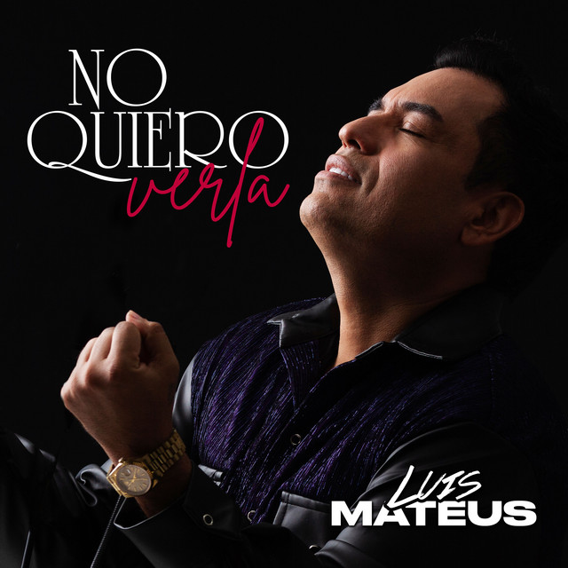No quiero verla cover