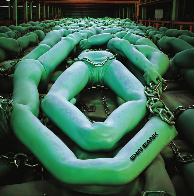 Skin Bank cover art