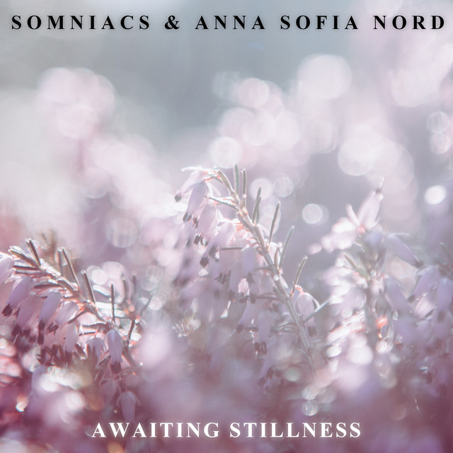 Awaiting Stillness cover