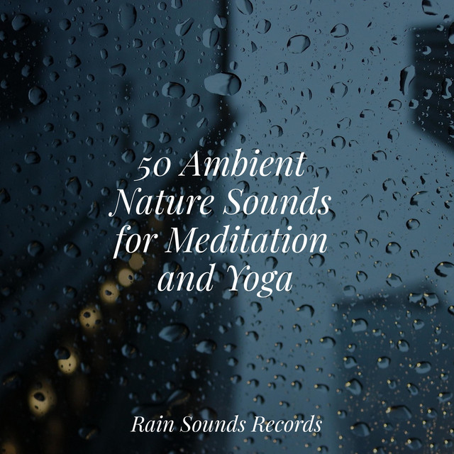 50 Ambient Nature Sounds for Meditation and Yoga - Album by Cascada de ...