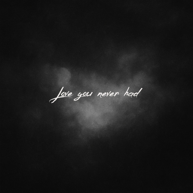 Love You Never Had