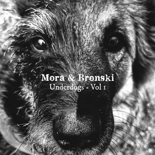 Underdogs, Vol. 1 cover art
