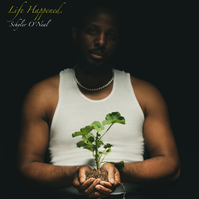 Life Happened. cover art