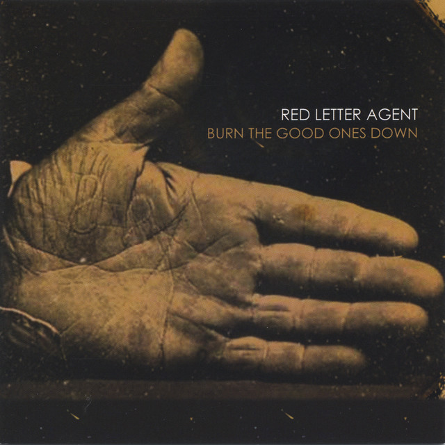 Burn the Good Ones Down cover