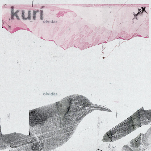 olvidar cover art