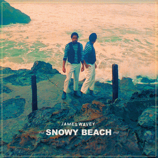 James Wavey Snowy Beach album image