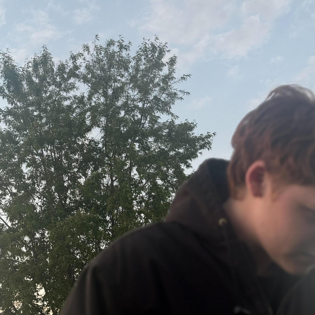 intercede cover art