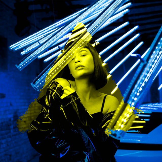 Fly cover art