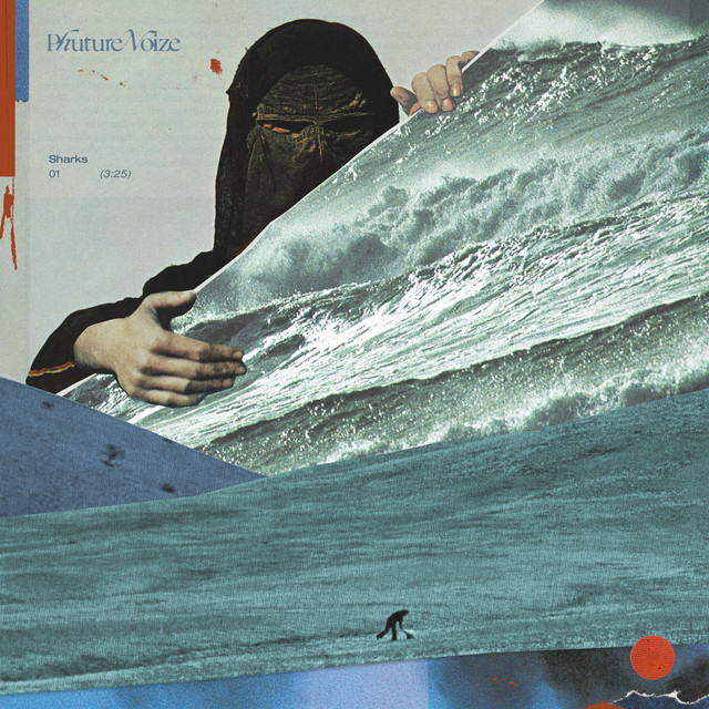 Sharks cover art