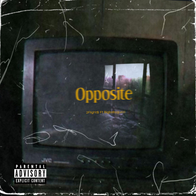 Opposite cover art