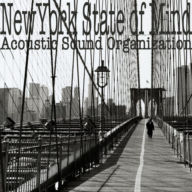 Acoustic Sound Organization