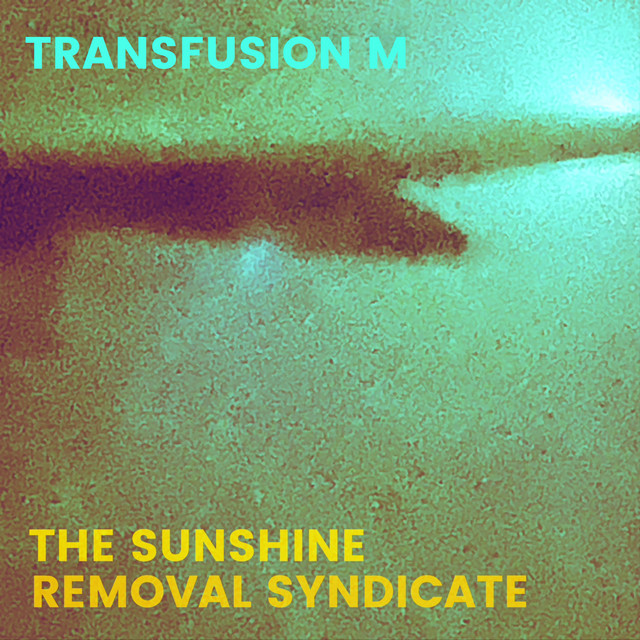 The Sunshine Removal Syndicate cover art