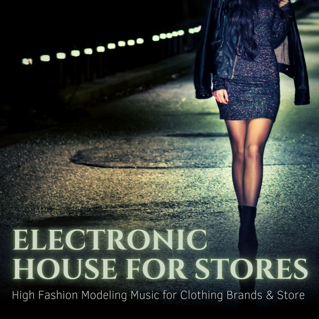 Electronic House for Stores cover art