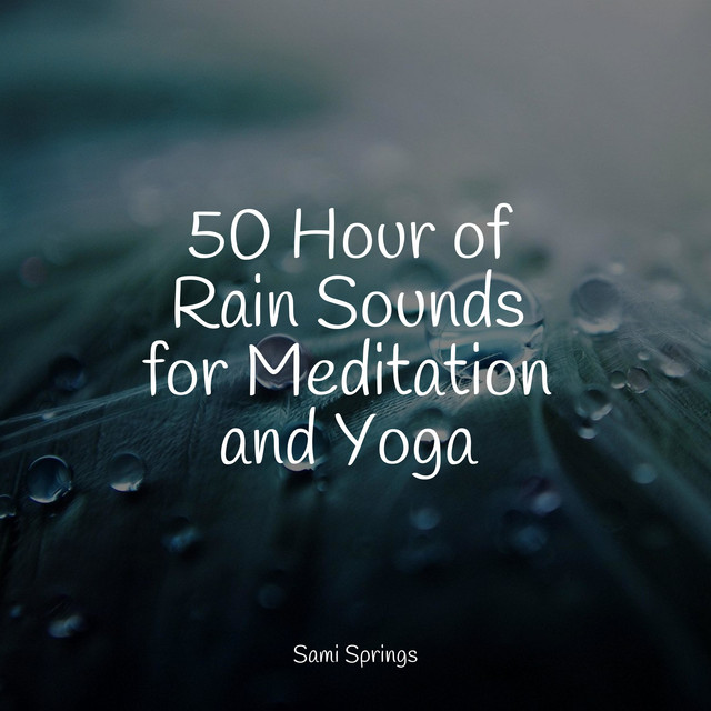 50 Hour of Rain Sounds for Meditation and Yoga - Album by Sleep Makers ...