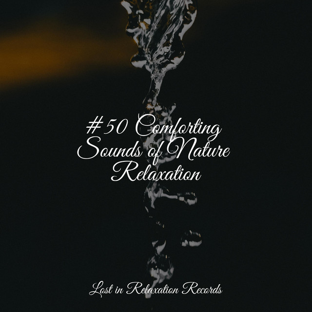 #50 Comforting Sounds of Nature Relaxation - Album by Musica Reiki ...