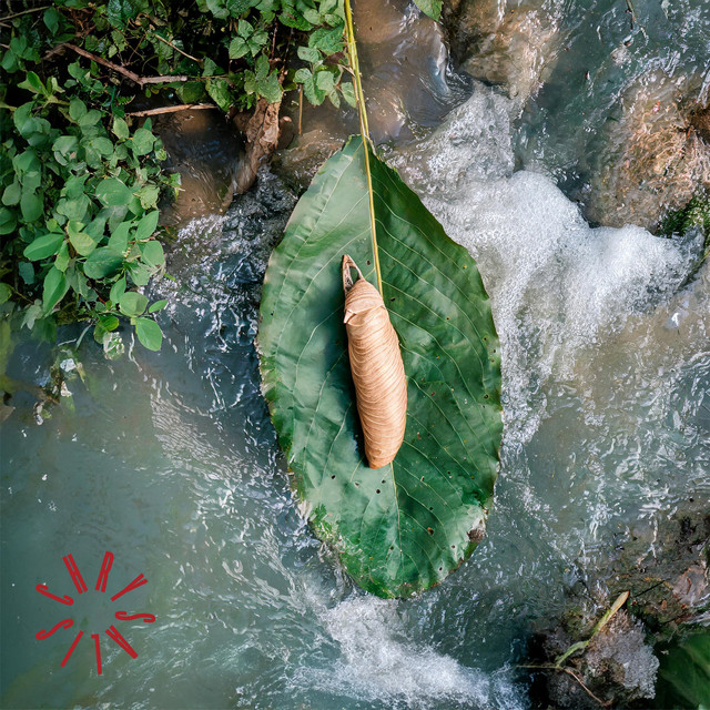 Chrysalis cover art