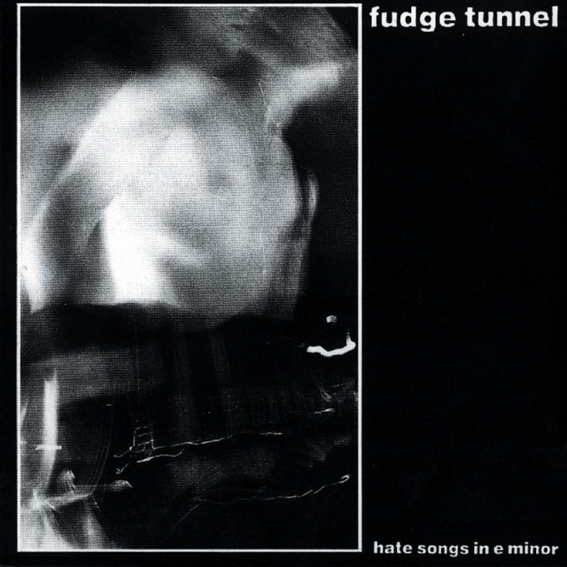 Hate Songs in E Minor cover art