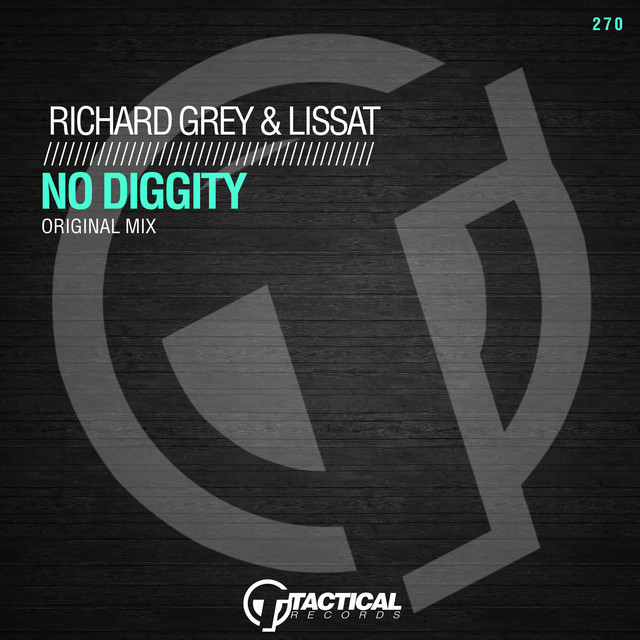 No Diggity album art