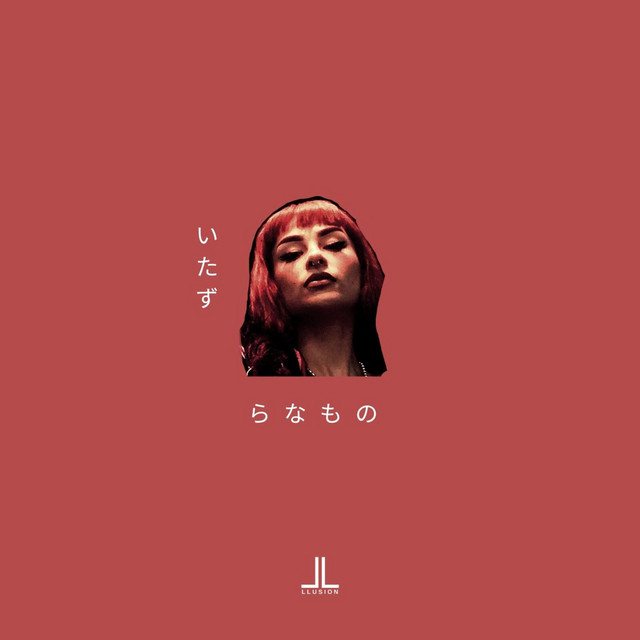 Did Too Much cover art