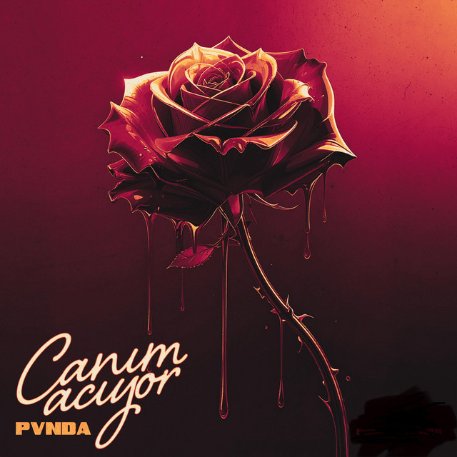CANIM ACIYOR cover